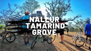 Cycling from Bangalore City to Nallur Tamarind Grove | Schnell MTB | ProCycle | GoPro Hero9 Black |