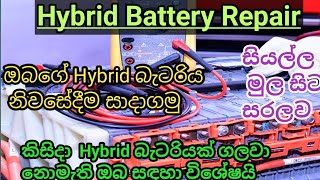 Hybrid Battery Repair sinhala