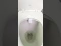 How to Use a Bidet - Easy to Use, Better Than Toilet Paper, How to Clean After Pooping