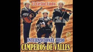 Internacional Trio Camperos de Valles - El Gallo