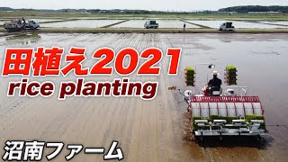 田植え2021