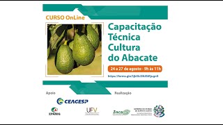 Capacitação Técnica da Cultura do Abacate (Dia 4)