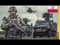 Review of All Polish Armed Forces Equipment / Quantity of All Equipment