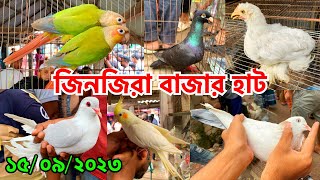 কেরানীগঞ্জের জিনজিরা বাজার হাট | প্রতি সোম ও শুক্রবার | Zinzira Bazar Pet Market #602