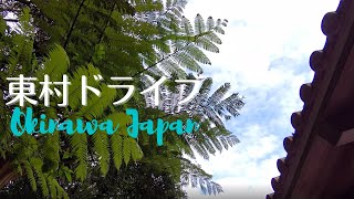 【Japan】 Yambaru | Higashi Village｜Relaxing Time | Okinawa Japan