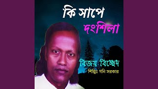 কি সাপে দংশিলা