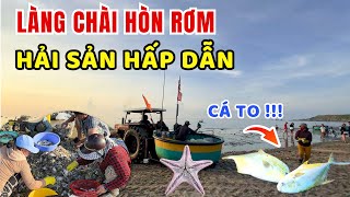 🌊 Làng Chài Hòn Rơm - Hải Sản Tươi Ngon Vừa Cập Bến Thu Hút Khách Du Lịch Mũi Né 🏝️