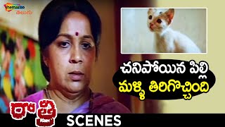 Cat Shocks Rohini | Raatri Telugu Horror Movie | Revathi | Om Puri | Chinna | Shemaroo Telugu