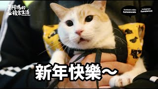 黃阿瑪的後宮生活-猴年行大運