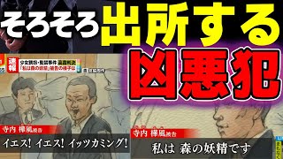 【ゆっくり解説】極悪犯罪者【森の妖精】寺内樺風が出所してくる!出所前に彼の犯罪歴を振り返りまとめ【東京BJ】