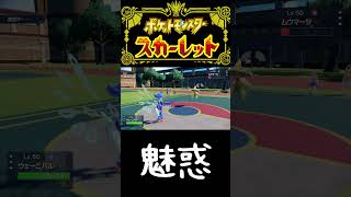 【みず統一】このステップで対戦相手を魅力してみせる‼ 【ポケモンSV】【ポケモン】【Pokemon】【おふの砂場】