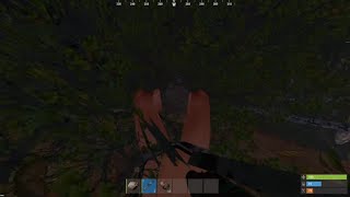 I DOORCAMPED THEM FROM A TREE - SOLO RUST