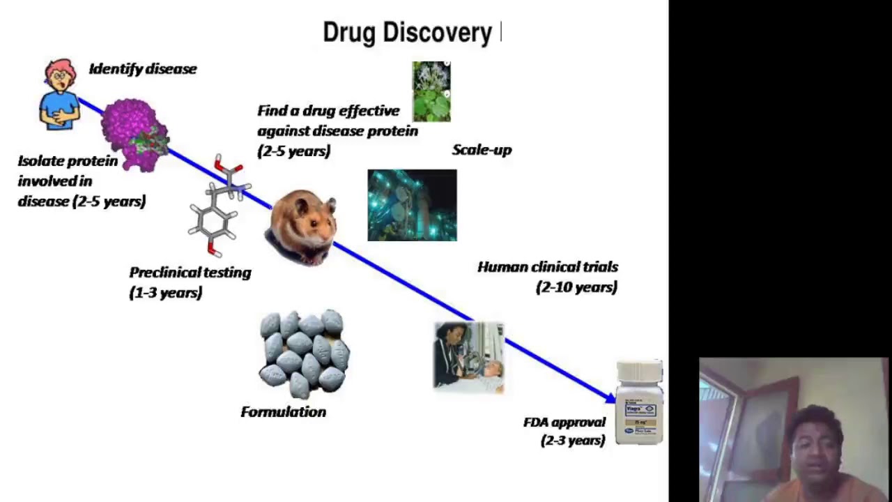 A Brief Note On Role Of Bioinformatics In Drug Discovery - YouTube