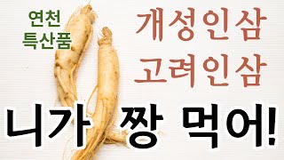 2024 01 24 새해농업인교육 (인삼)