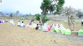 ናይ ሃገረሰብ መርዓ ብዙሕ ጎፍላ Tigray wedding culture at countryside