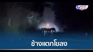 ช้างป่าภูหลวง แตกโขลงข้ามถนนหาแหล่งอาหารใหม่ หลังชาวบ้านจุดประทัดไล่ทั้งคืน