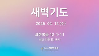 [2025.02.12] | 새벽기도 | 헌신의 사람, 탐욕의 사람 | 요한복음 12:1-11 | 박대일 목사