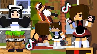 Minecraft Bagas Craft TikTok Compilation