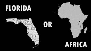 Florida or Africa Intro (for Drunken Peasants)