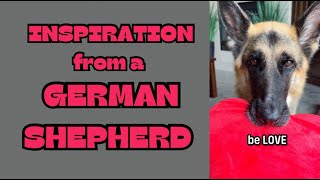 Inspiration from a German Shepherd Dog