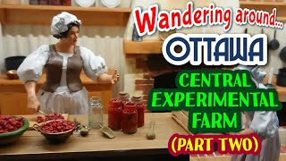 239 👣 Wandering Around Ottawa 🌾 Central Experimental Farm (Part Two)