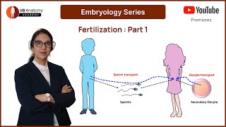 Fertilization: Part 1