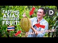 TRYING DURIAN- Smelliest Fruit In The World! THAI FRUIT TOUR!