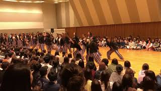 JAZZ / D-mc 立教大学ダンスサークル 新歓 2018