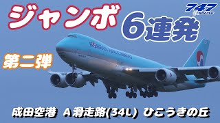 【4K】成田空港 ひこうきの丘 Ａランに離着陸するジャンボ６連発