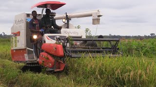 BRAVE PAYSAN MÉCANISATION DE LA RIZICULTURE