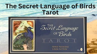 The Secret Language of Birds - an older deck that’s new to me