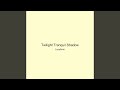 Twilight Tranquil Shadow