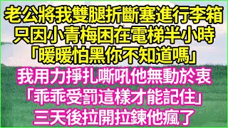 老公將我雙腿折斷塞進行李箱，只因小青梅困在電梯半小時。「暖暖怕黑你不知道嗎」？我用力掙扎他無動於衷。「乖乖受罰，這樣才能記住」，三天後拉開拉鍊他瘋了。