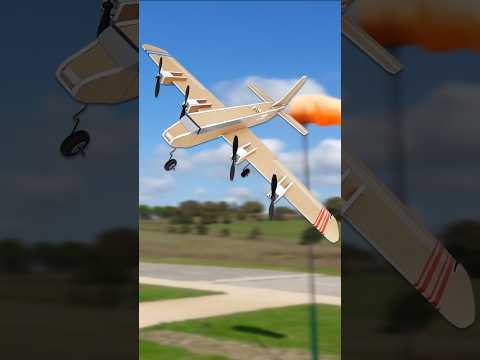 Can flat wings fly?