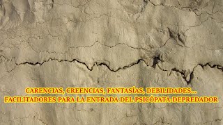 CARENCIAS, CREENCIAS, FANTASÍAS, DEBILIDADES...FACILITADORES PARA LA ENTRADA DEL PSICÓPATA INTEGRADO