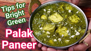 Restaurant Style Palak Paneer Curry - 5 Basic Tips to Get Dark Green Colored Creamy Palak Paneer