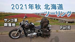 2021年秋 北海道ツーリング Part6 紋別～網走 【サンゴ草群落地】