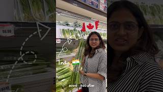 કેનેડા માં શાકભાજી ના  ભાવ - Grocery Price In Canada 🇨🇦