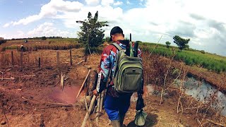 pantesan pemancing banyak ke spot ini, satu ekor ikan sepat siam sudah cukup nasi satu piring