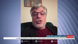 یونس قانونی: امسال، سال سرنگونی طالبان است