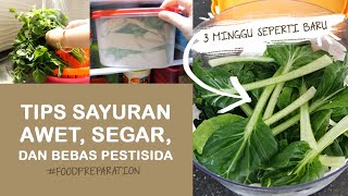 TIPS CARA MENYIMPAN SAYURAN AGAR TETAP FRESH