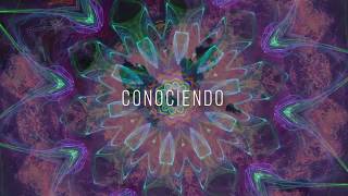 Mauro Soto \u0026 LYE -  Caminando - Lyric Video Oficial