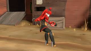 (SFM) Sentry Test
