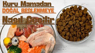 Kuru Mamadan Doğal Beslenmeye Nasıl Geçilir