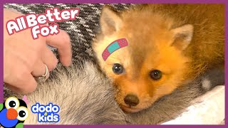 Rescued Baby Fox Needs A Friend | Dodo Kids | All Better