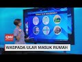 Waspada Ular Masuk Rumah