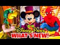 Top 10 New Disney Rides, Changes & Updates in 2021- Disney World & Disneyland June Ed.