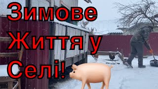 Моє життя в селі! Як дід 👴 вчив так 👍 і зимую!!