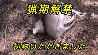 【狩猟】猟期解禁　鹿猟　巻狩り