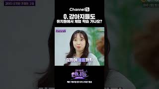 Q. 강아지들도 유치원 체험 학습 가나요? #shorts #진격의언니들